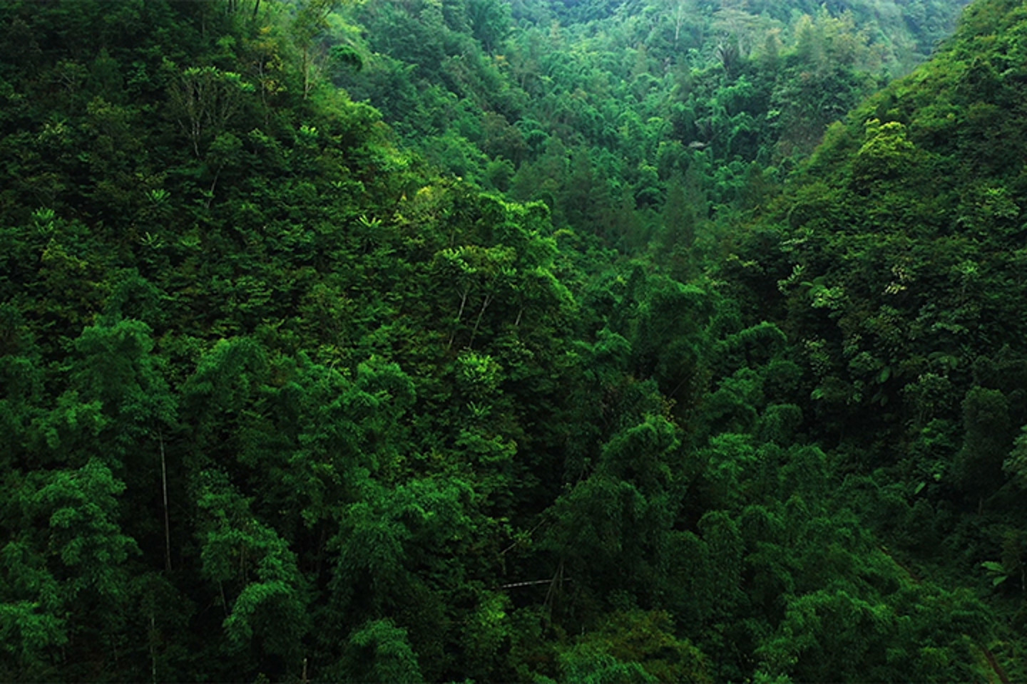 2024 Highlights 720X480