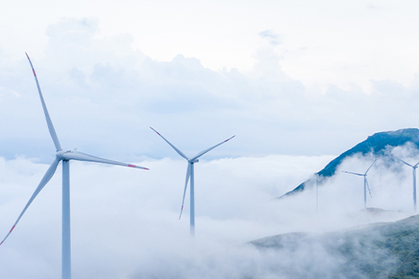 Enhesa Portrait 3 windfarm in mist