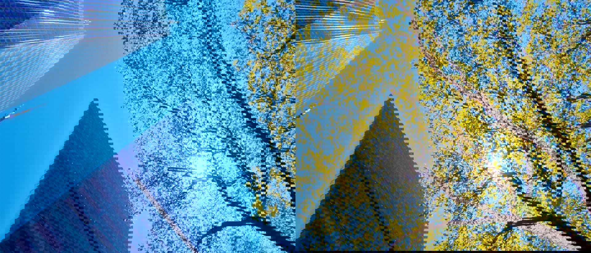 Gettyimages 1658733269