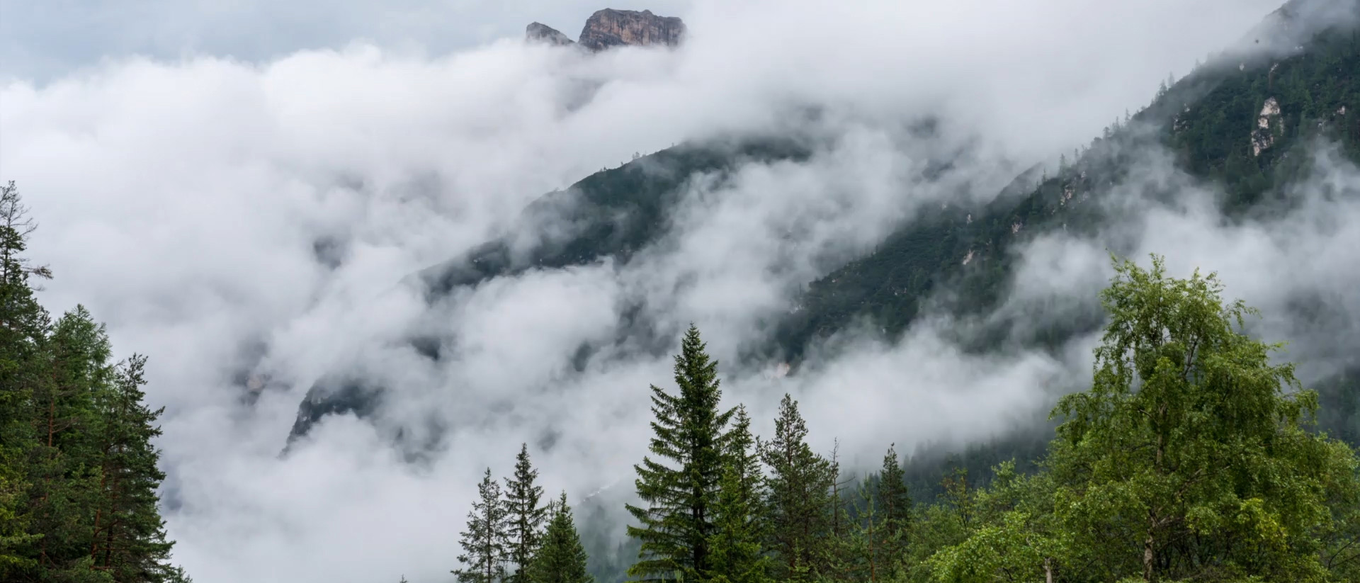 Responsibility header video fallback image misty forest