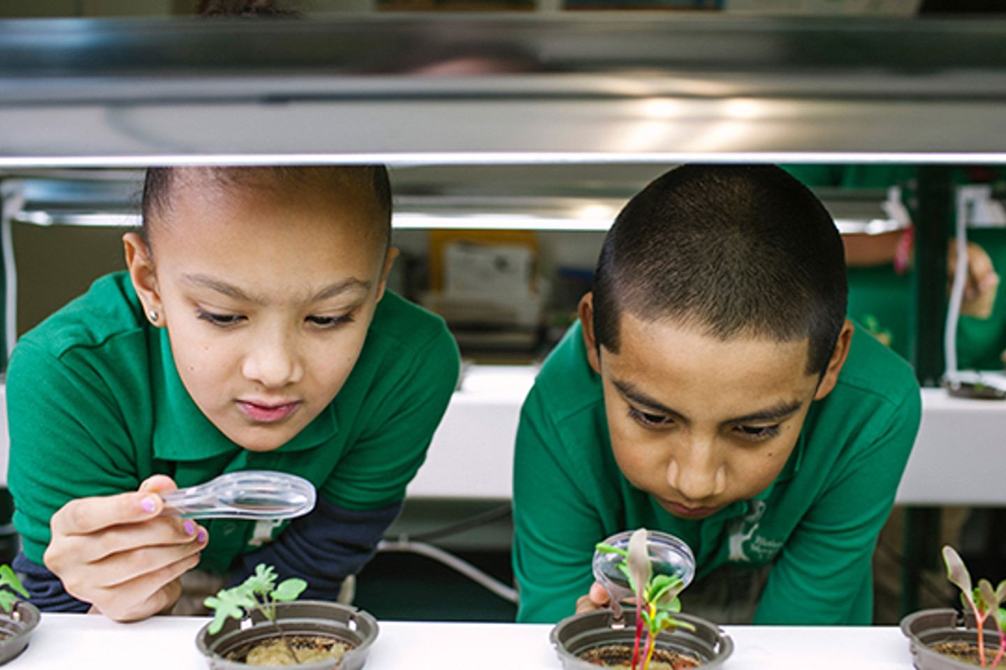 teo children inspecting plants