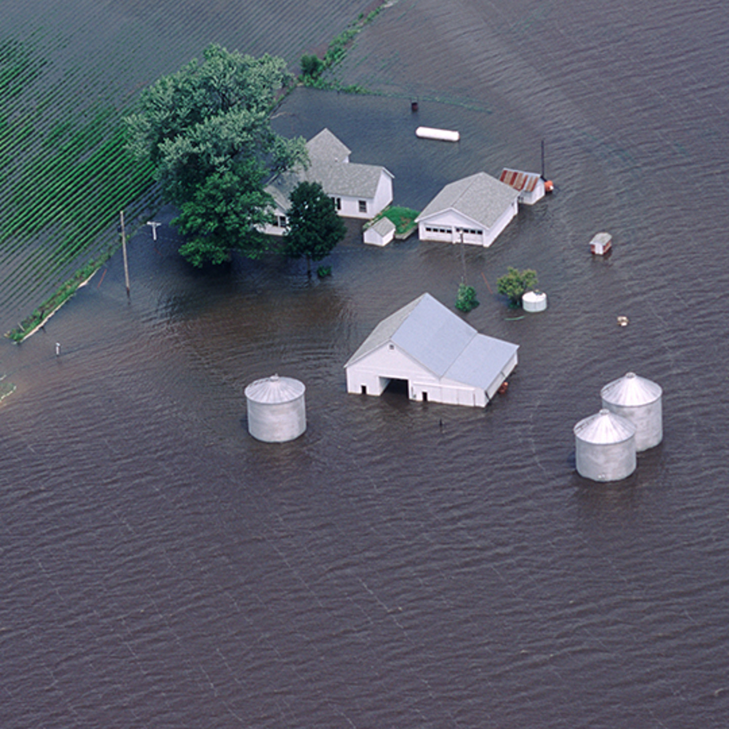 Neptune Flood Portrait 1 flooded farm