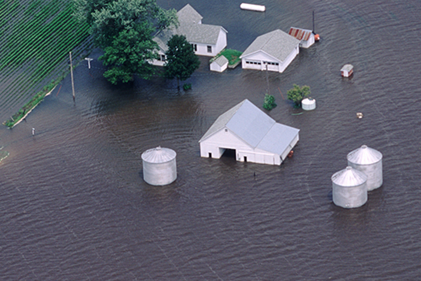 Neptune Flood Portrait 1 flooded farm