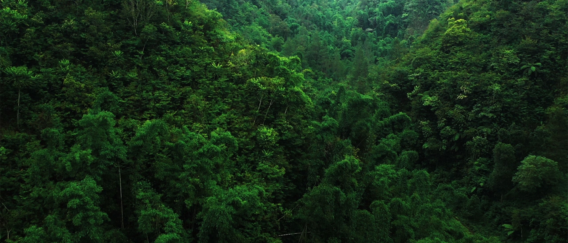 2024 Highlights 1920X1080