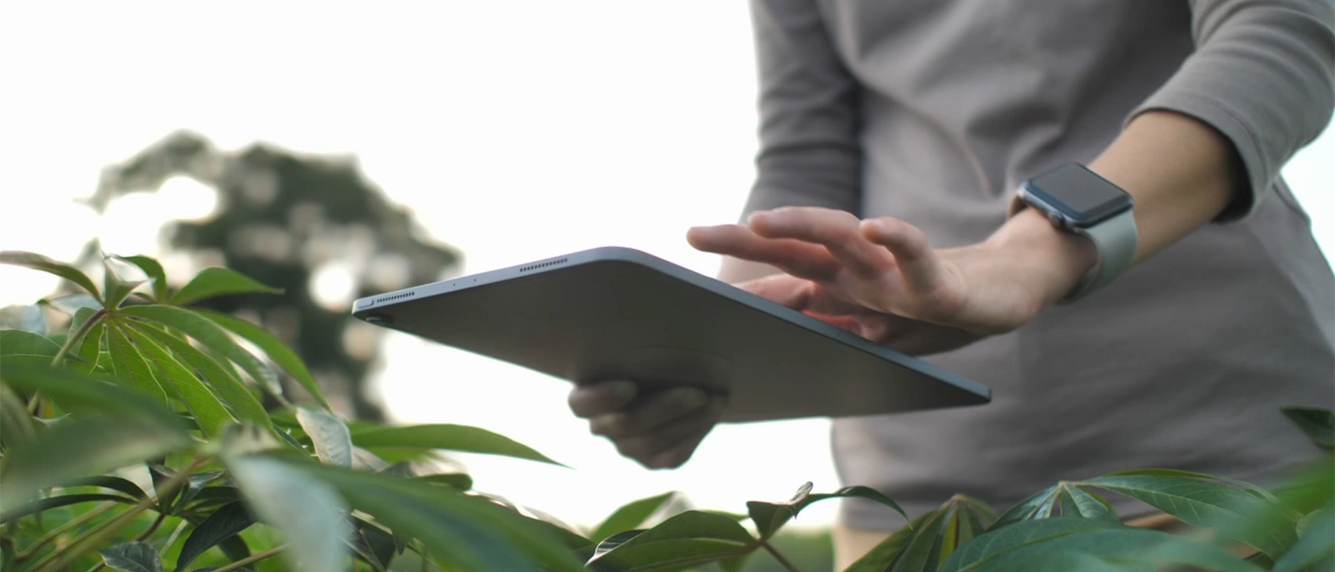 Disclosures 1920X1080