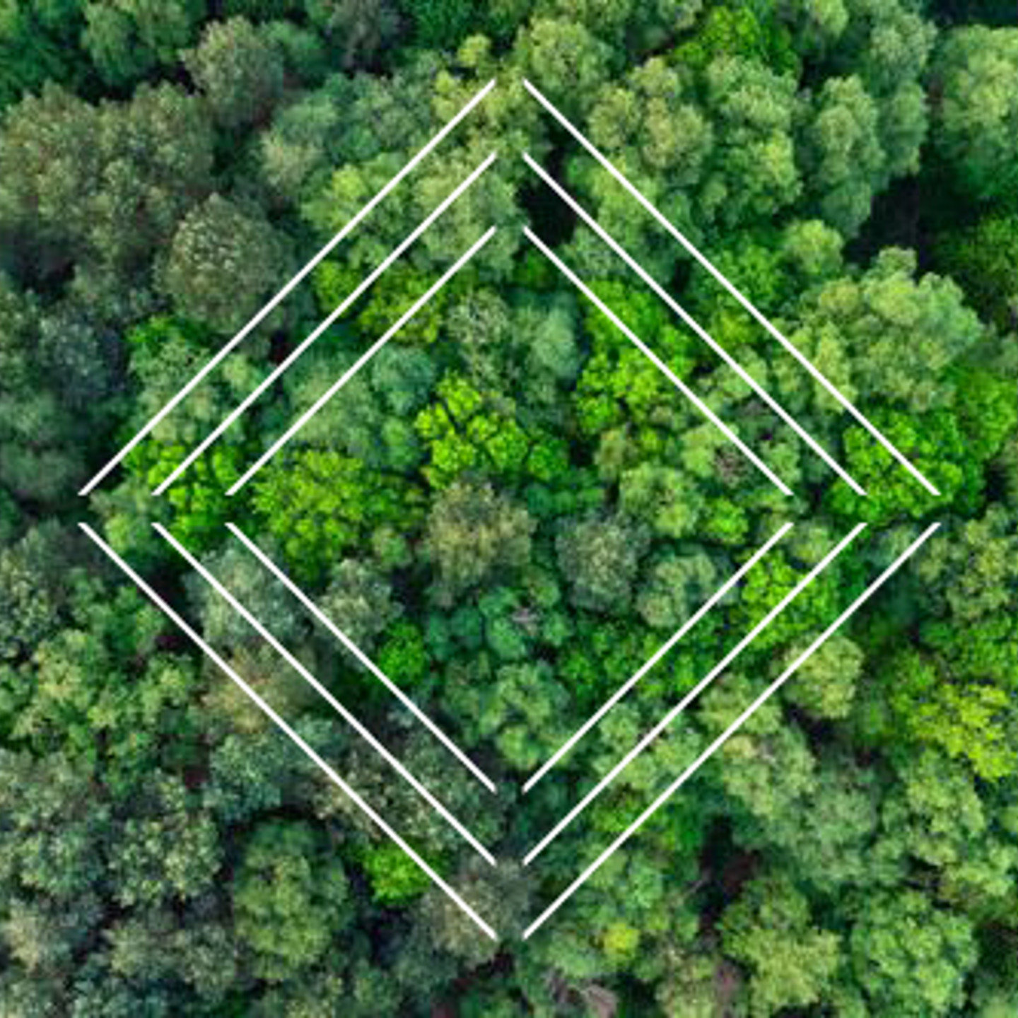 Diamond card image 2 aerial image of trees and diamond graphic