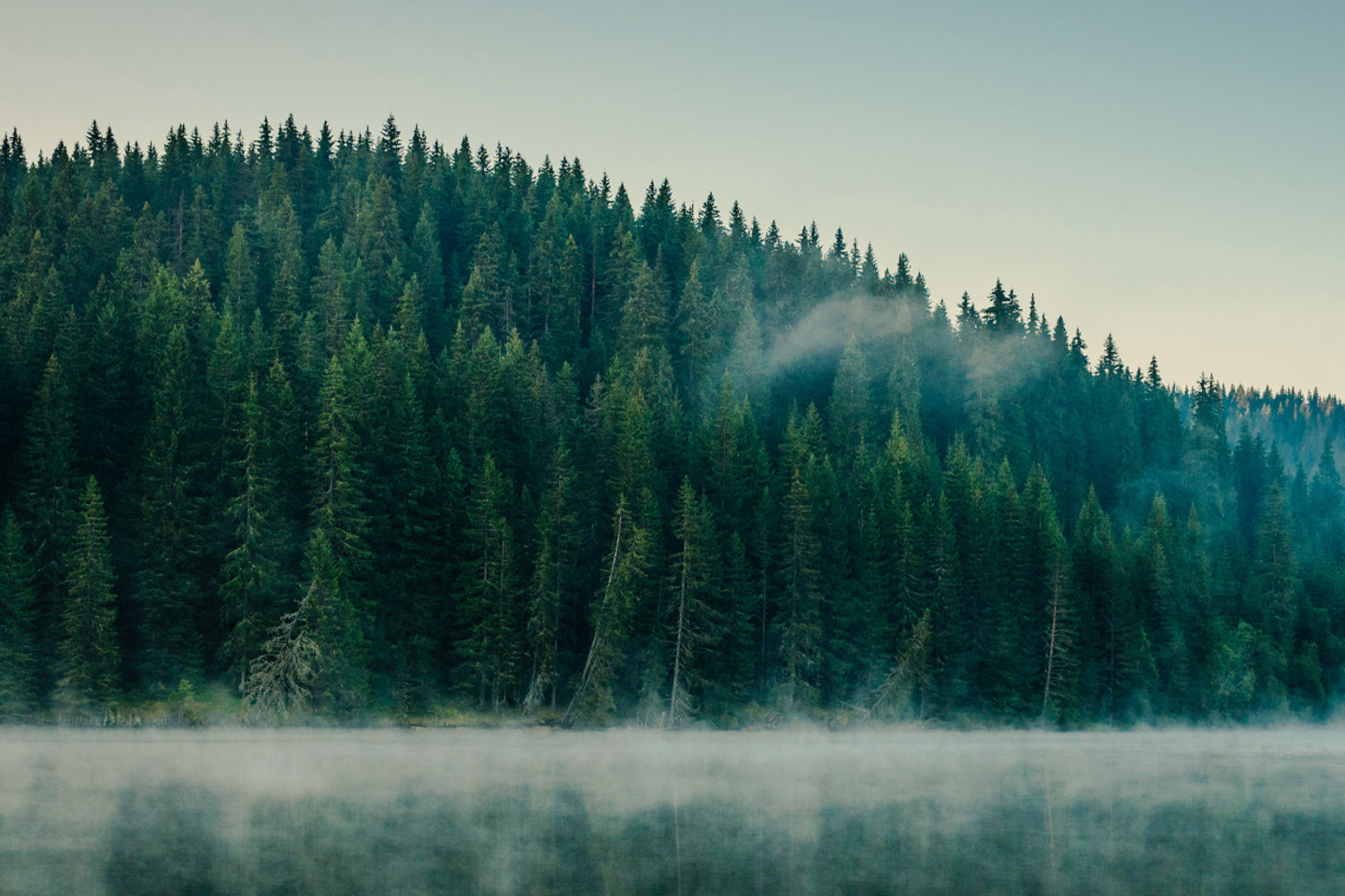 Bregal RIR 2022 Cover 1920X823 misty forest and lake