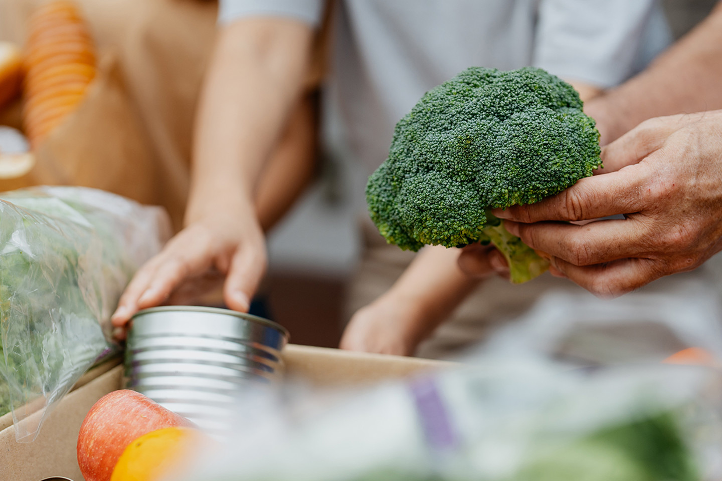 General Header 6 Hands holding vegetables