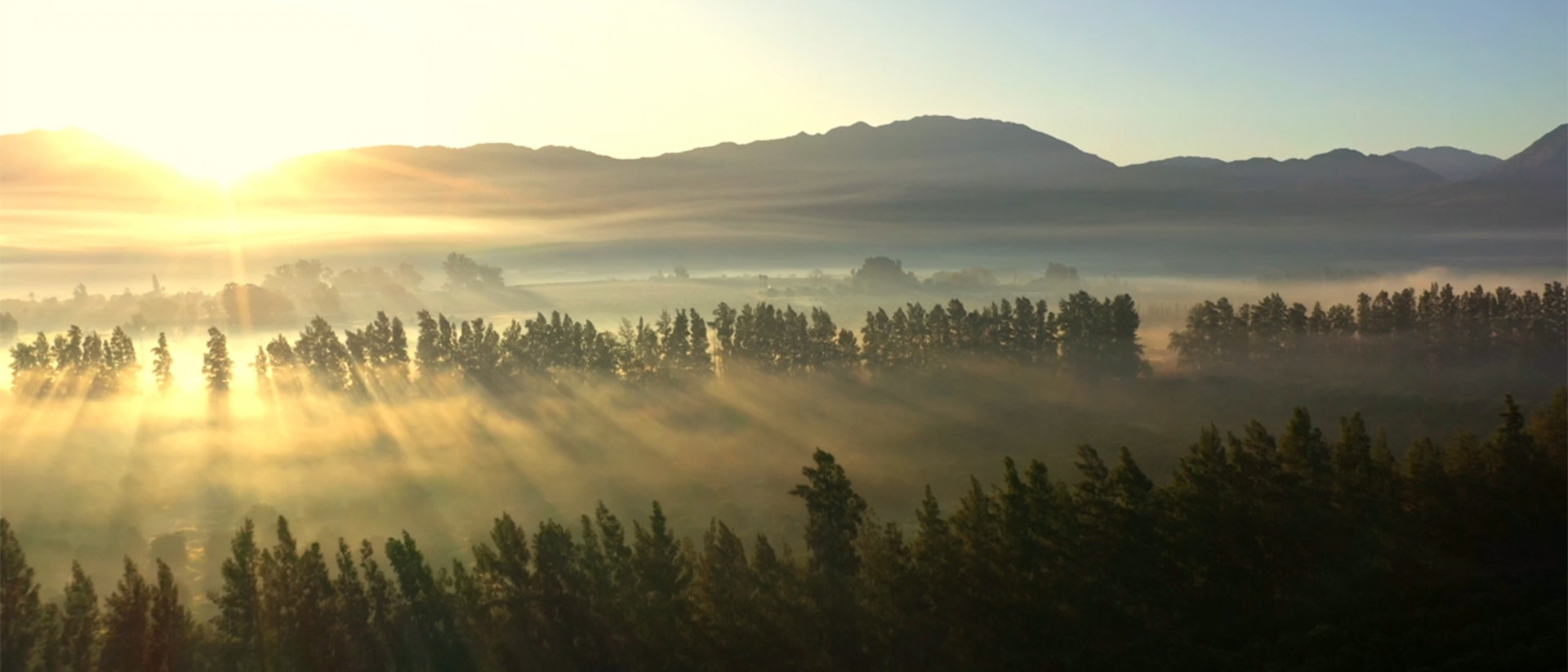 Report Cover 1920X1080