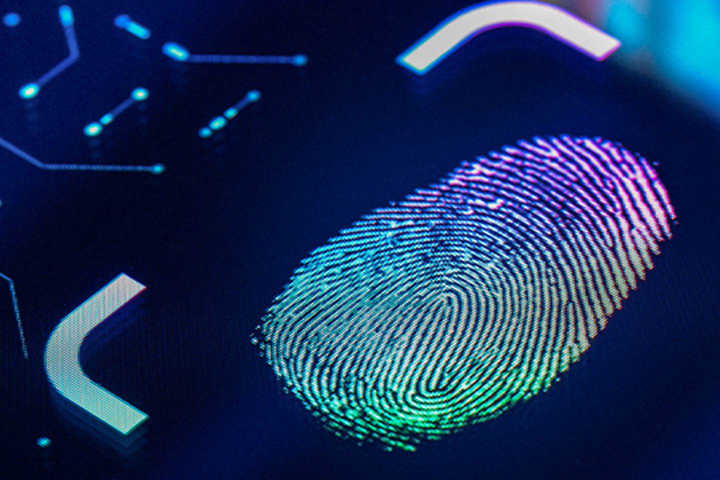 Infocert – thumbprint technology portrait