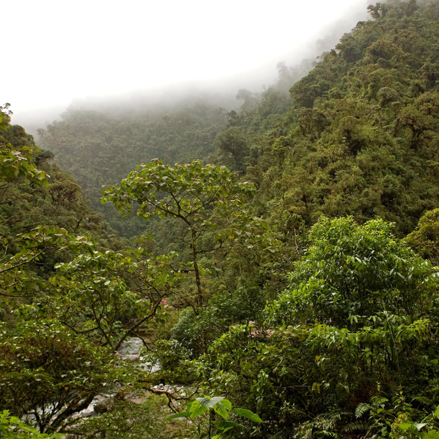 Bregal Sphere JS Banner