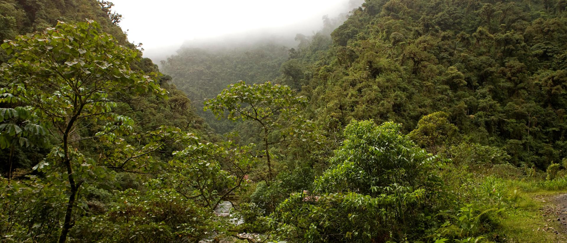 Bregal Sphere JS Banner