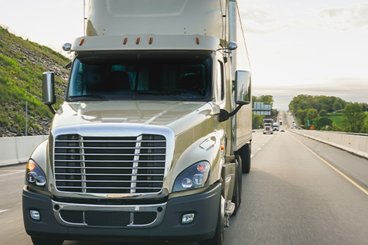 Transflo Portrait 1 picture of a truck on the road