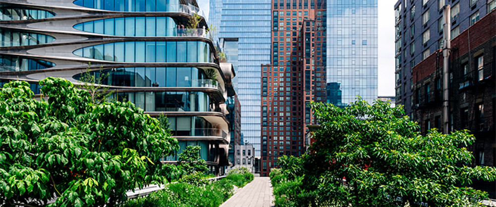 Office Landscape New York, USA
