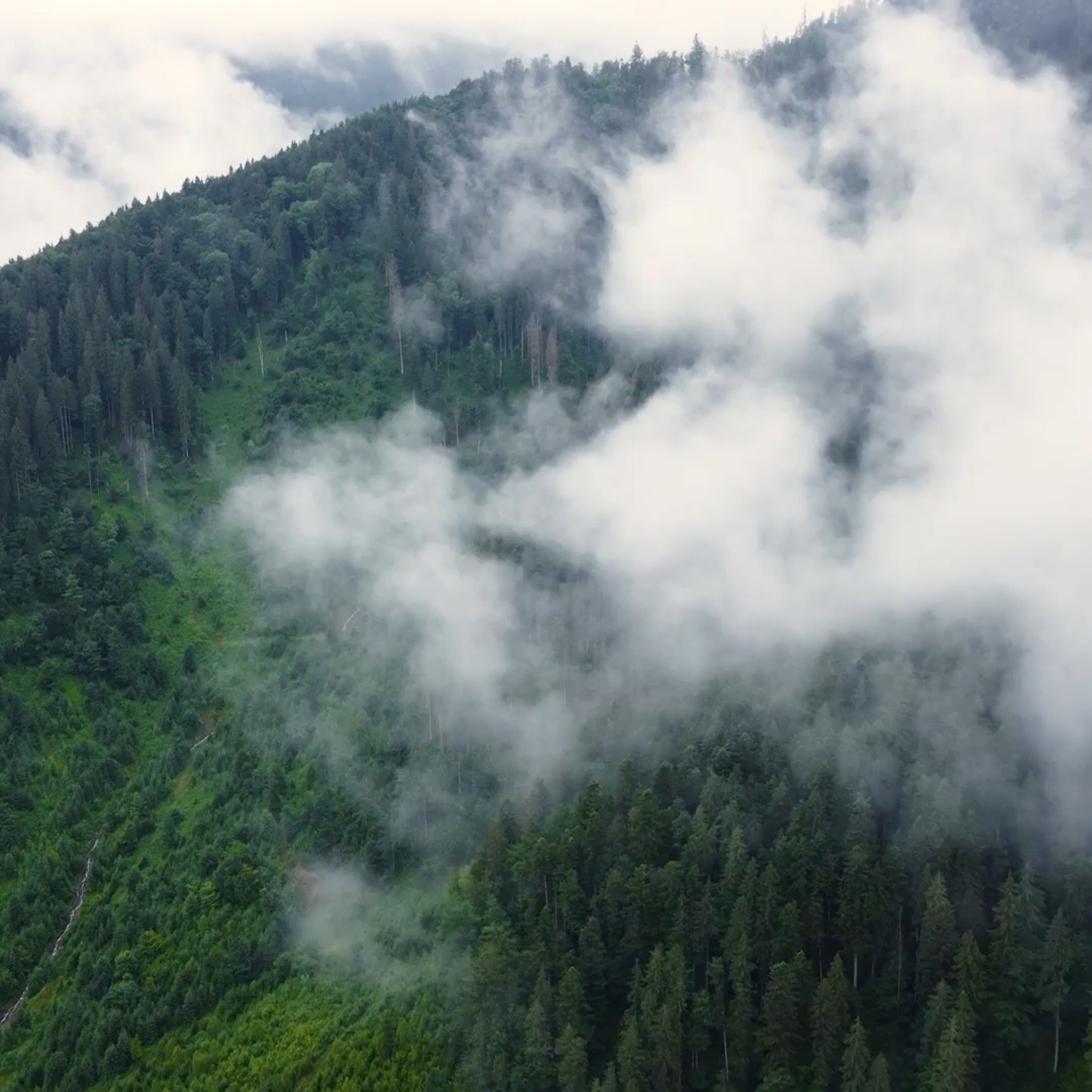 Bregal Investments homepage image mist over mountains