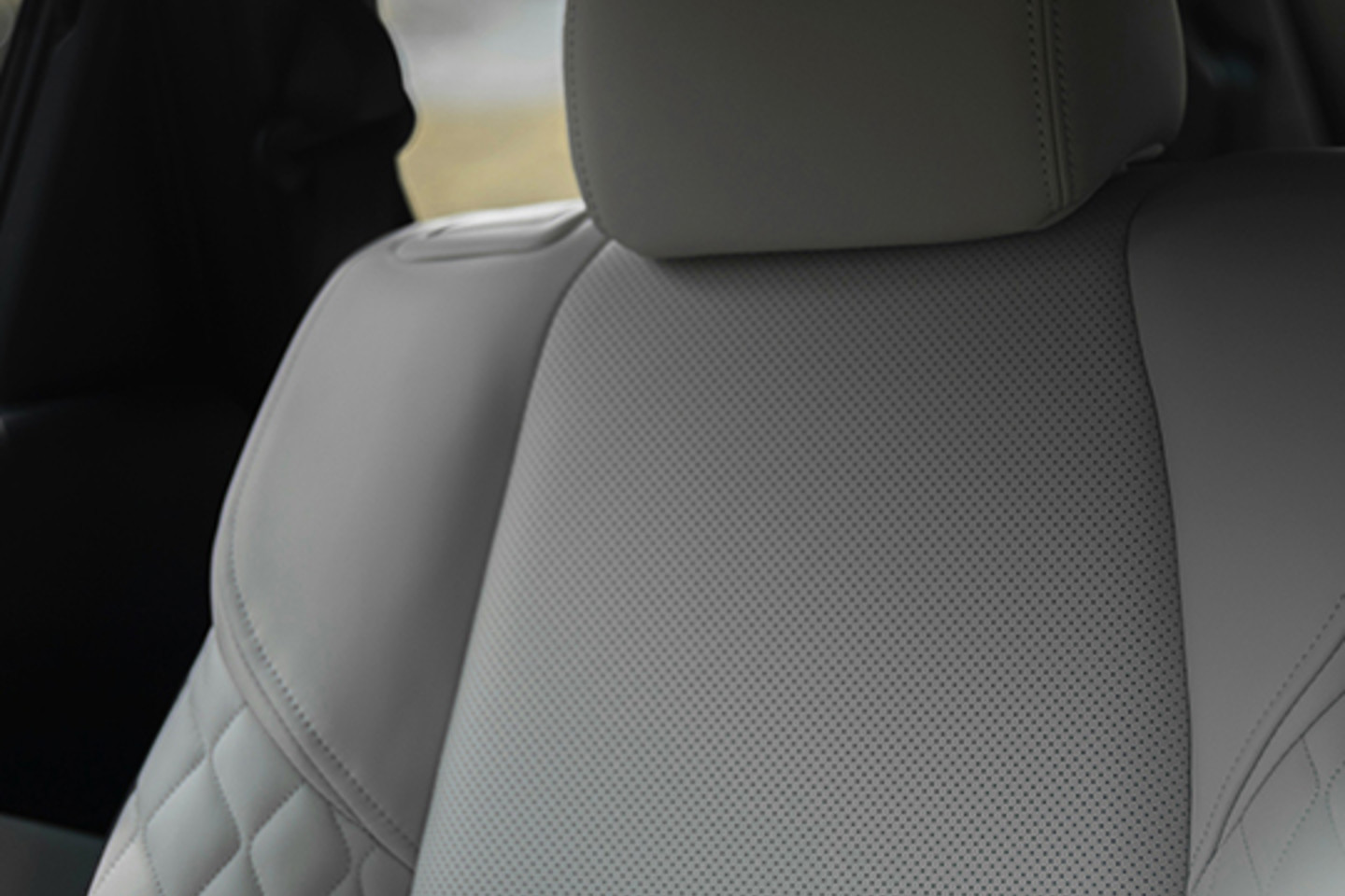 Novem Portrait 1 car interior