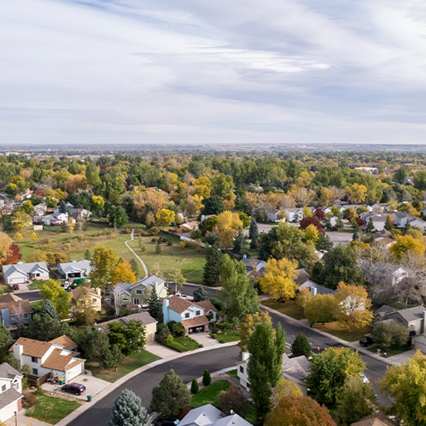 MRI Portrait 1 suburban neighbourhood