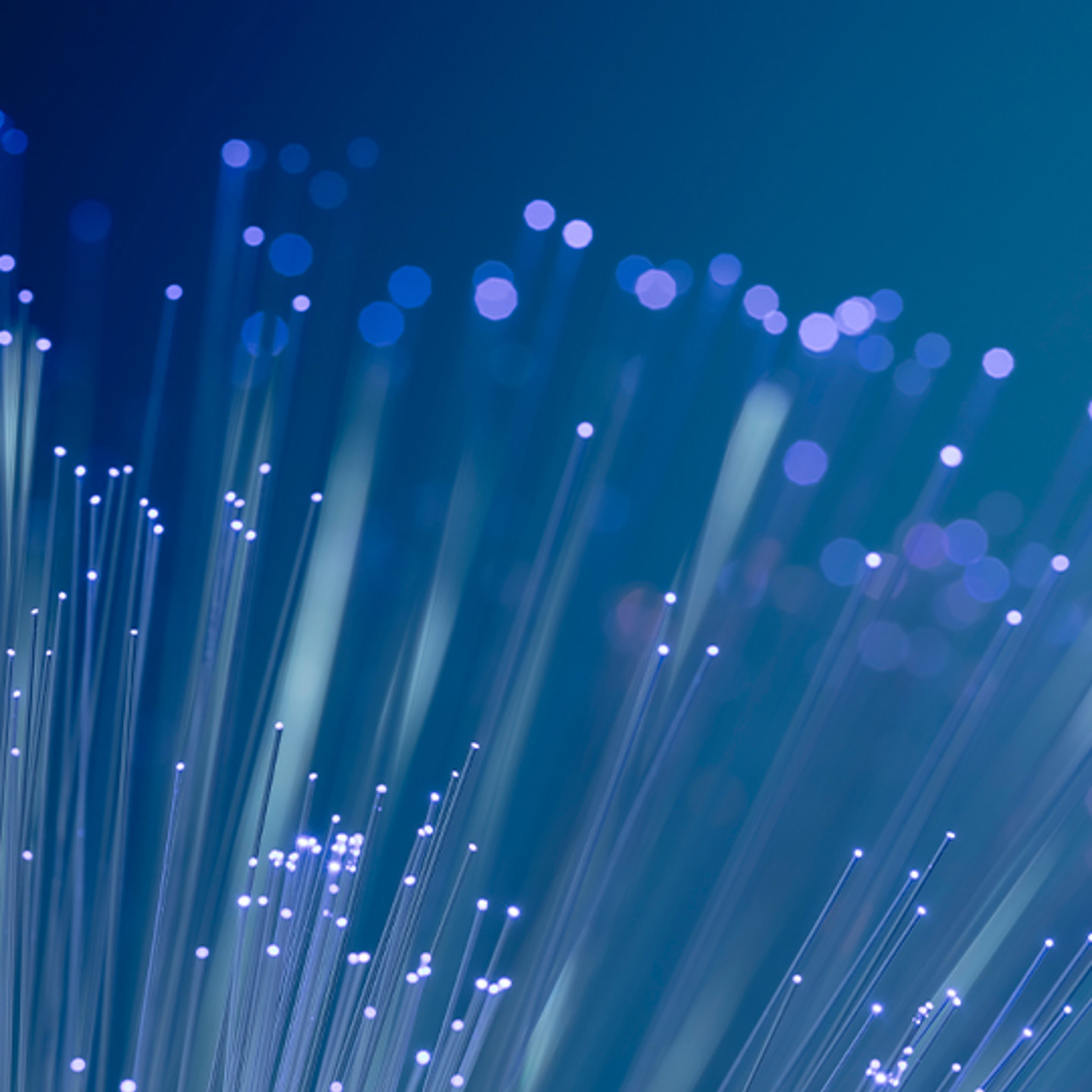 Horizon Portrait 2 sparkle light image