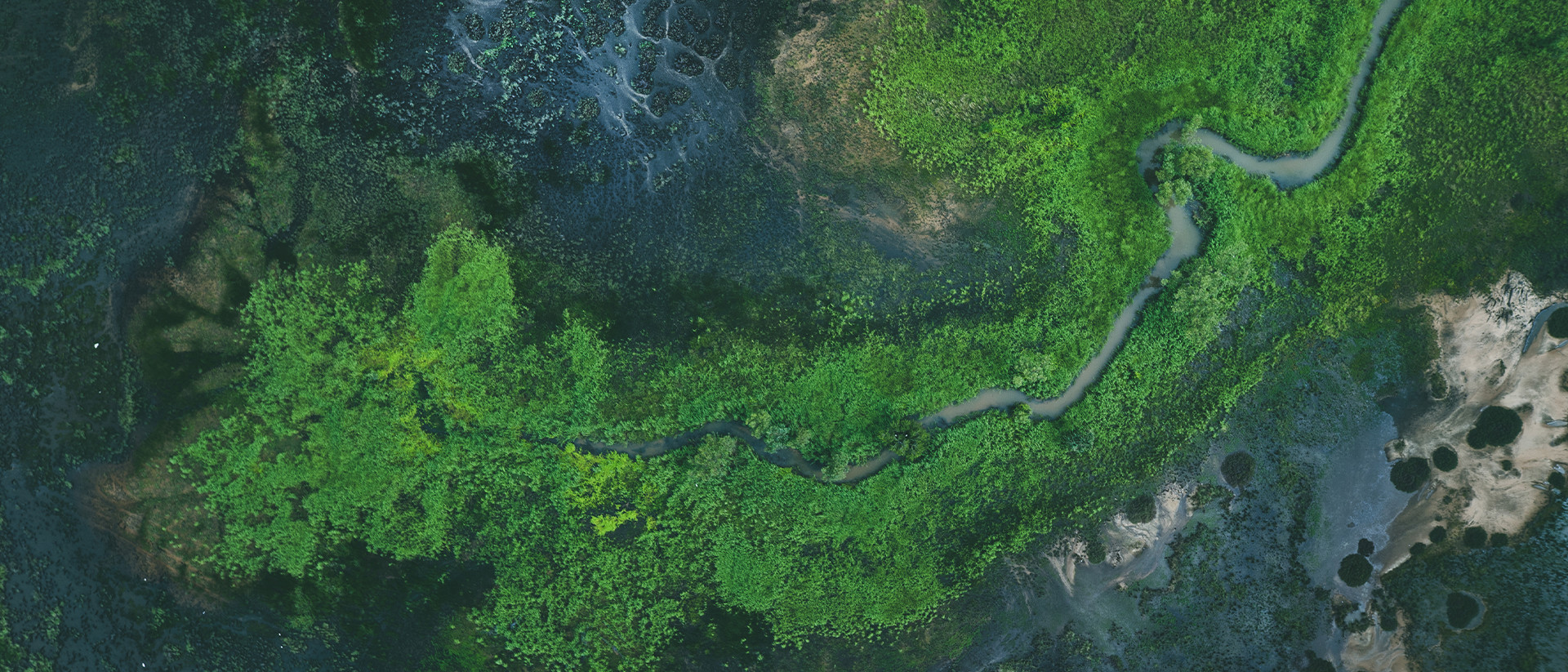 Generic Header 1 Aerial image of water and greenery