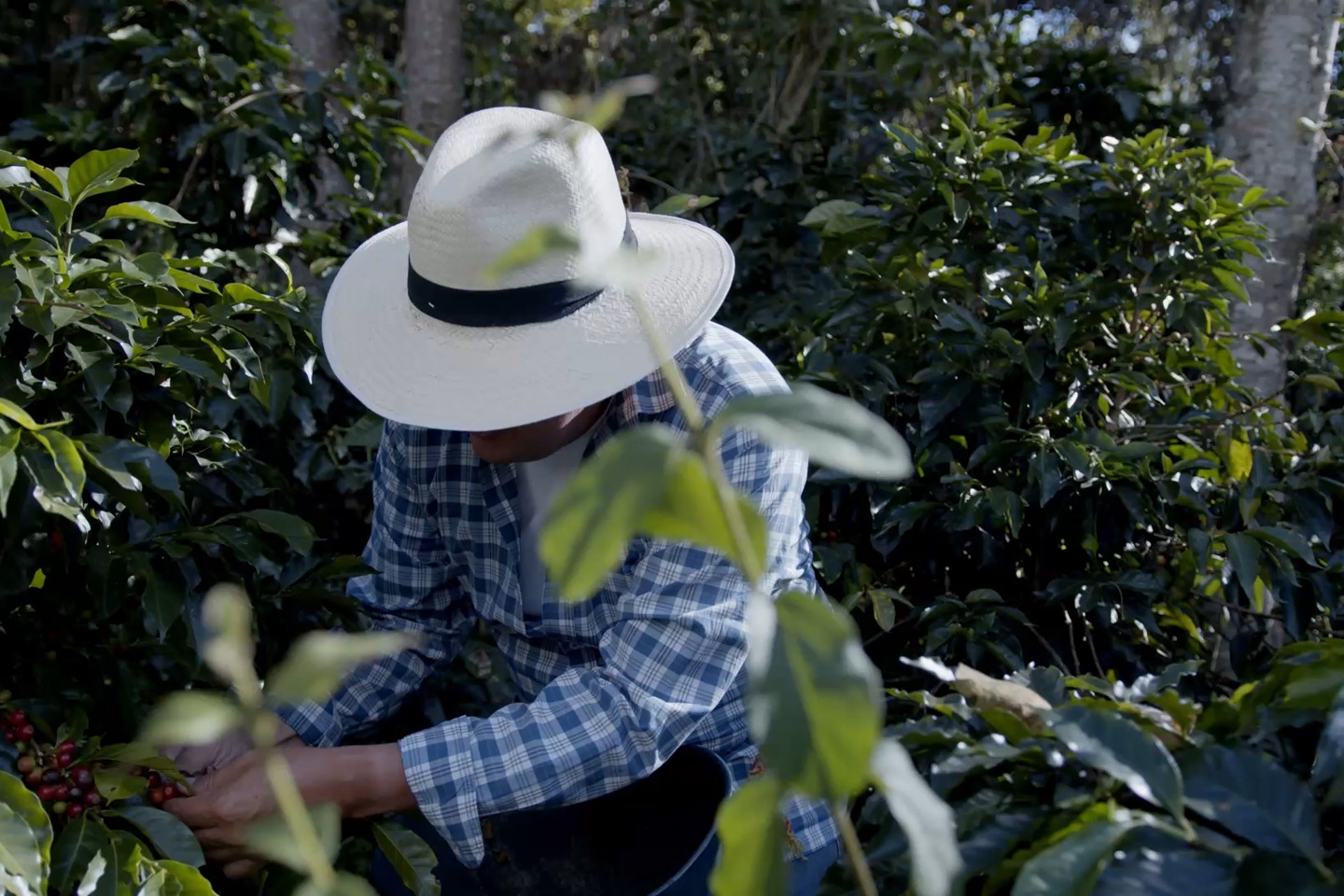 farmer working