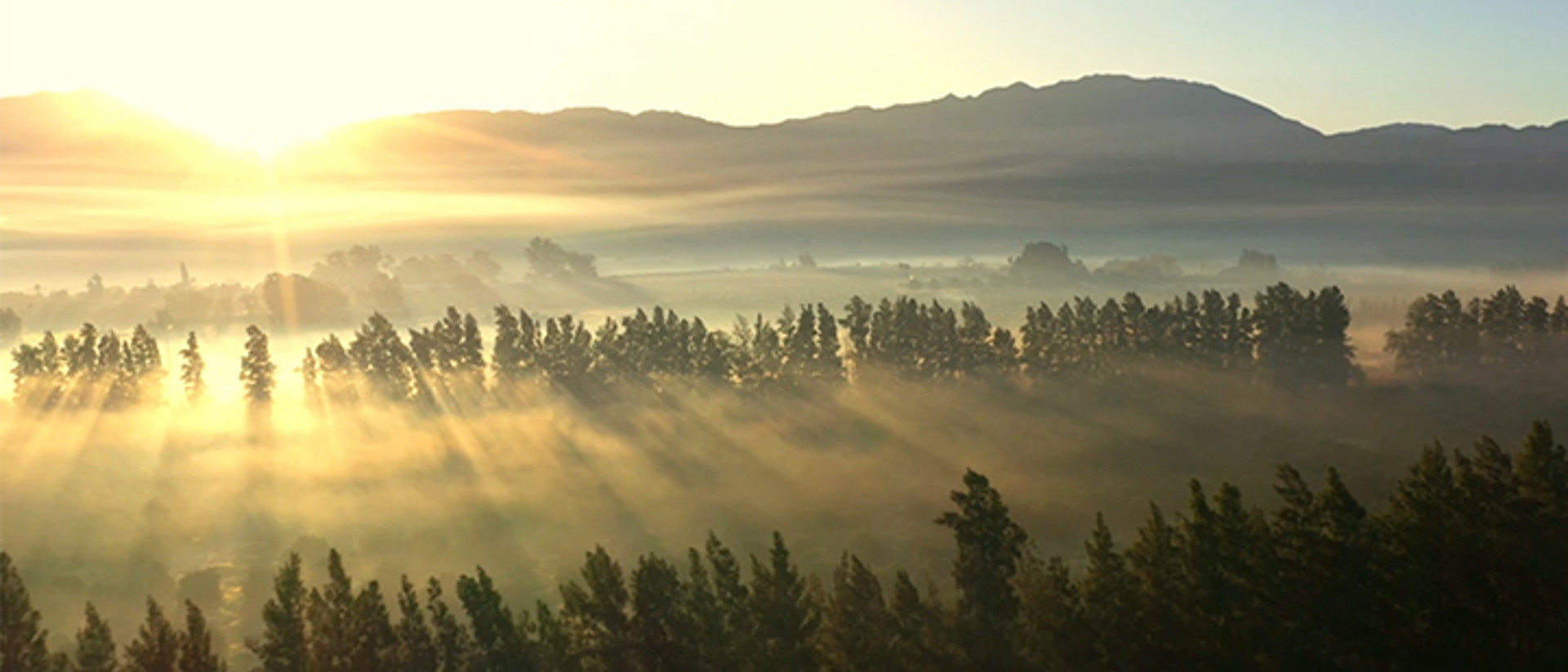 Report Cover 720X480