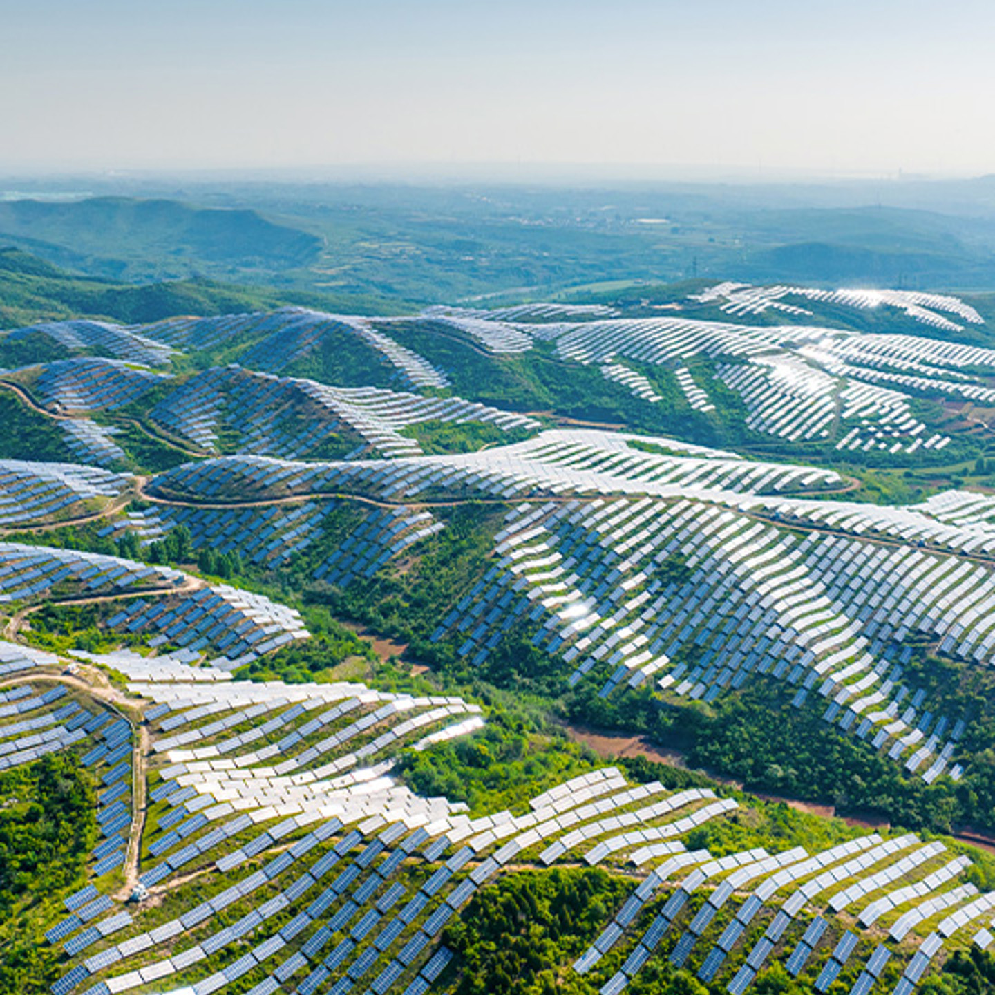 Enhesa – solar panels portrait