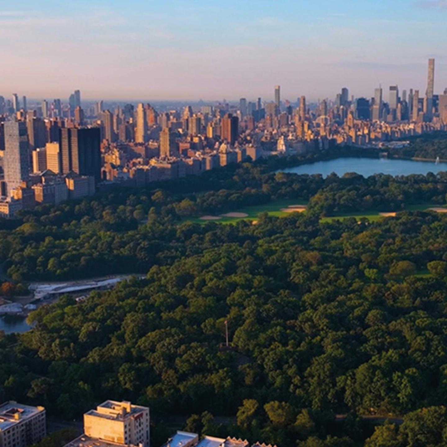NYC Background