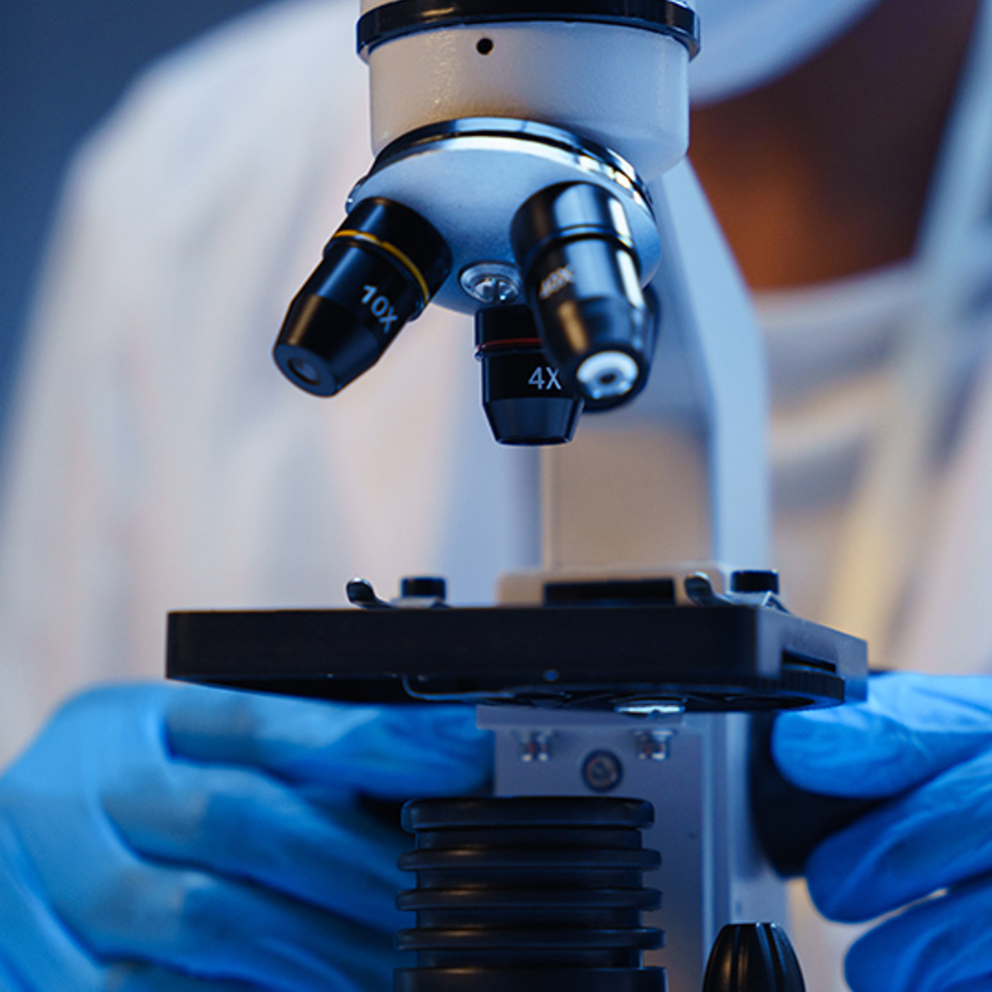 Labvantage Portrait 3 microscope image
